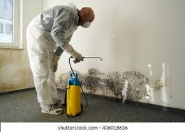 Trusted The Colony, TX Mold Removal Experts